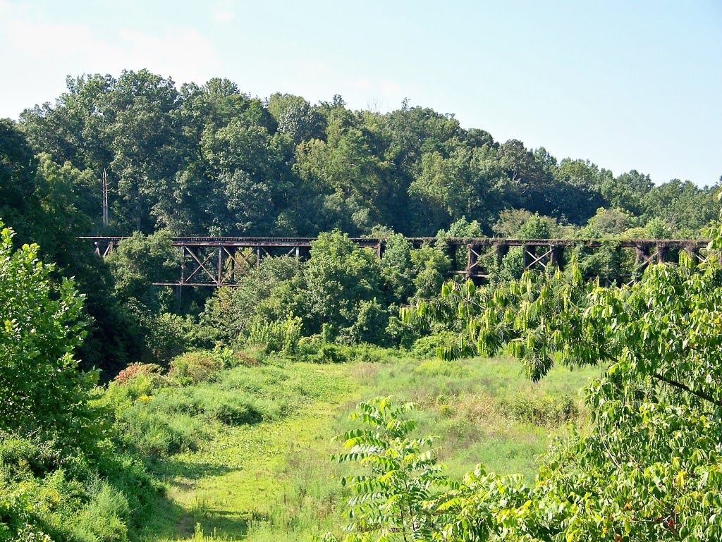 Abandoned 1st Broad River Railroad Bridge