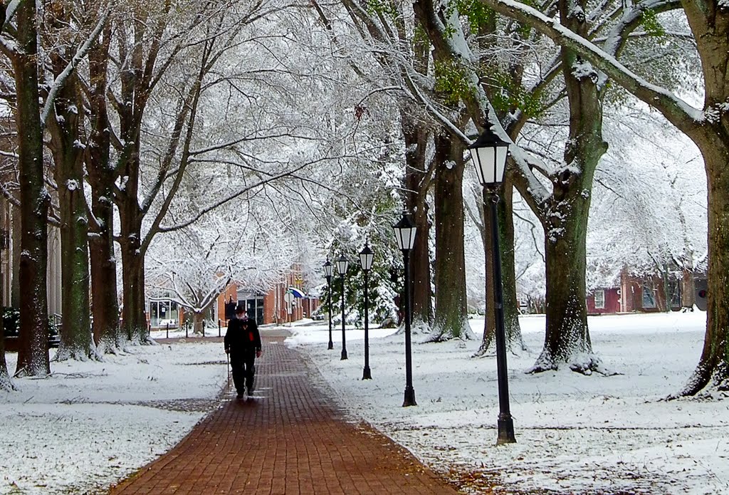 Winter Walk