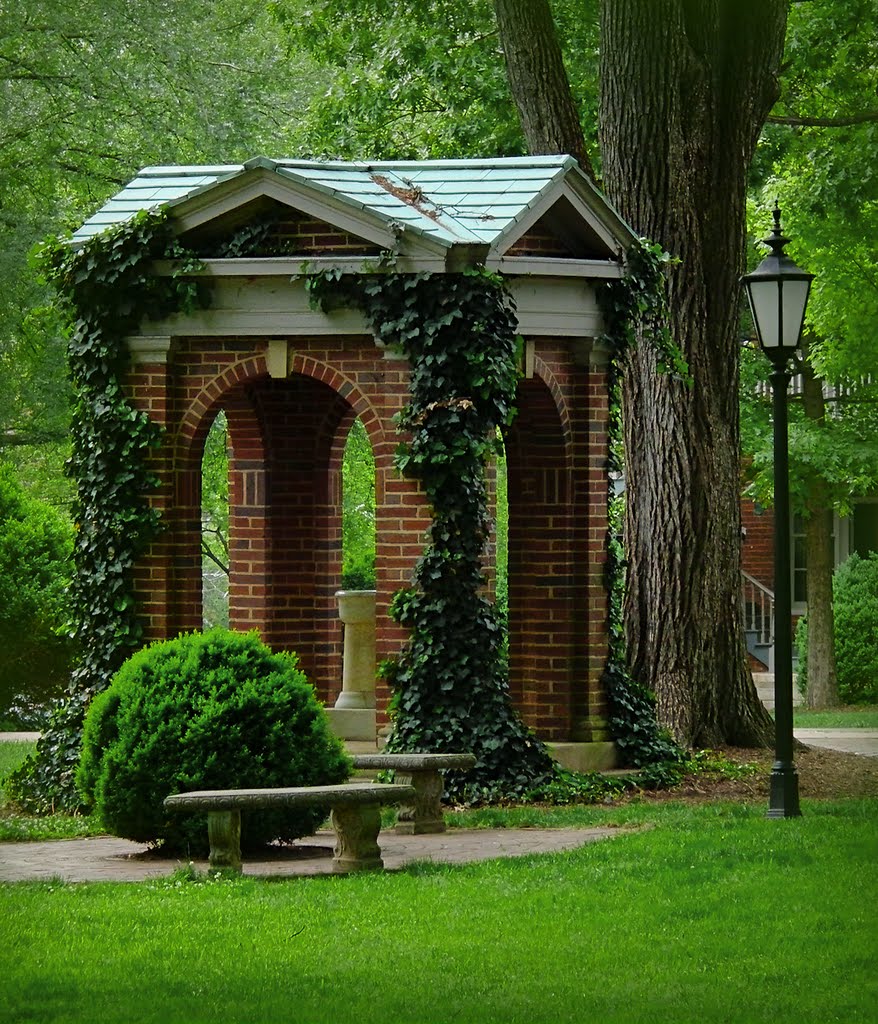 The Well