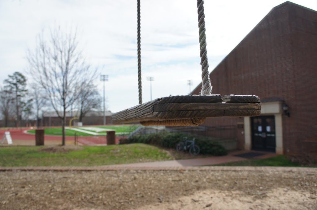 Swing-Field