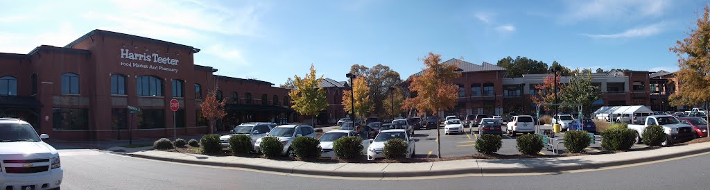 Harris Teeter in Davidson