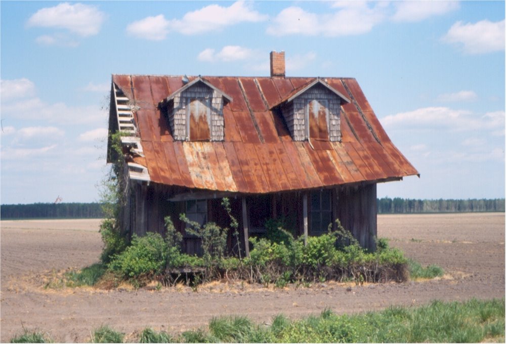 American Dream House