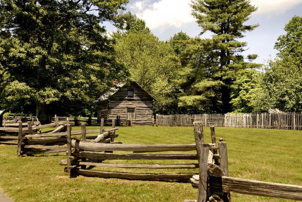 Puckett Cabin and Tribute To A Midwife