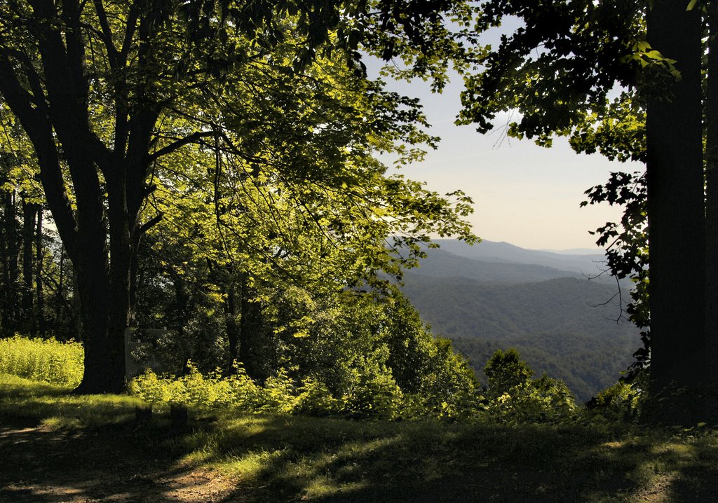 A Break in the Trees at Jumping Off Rock Overlook