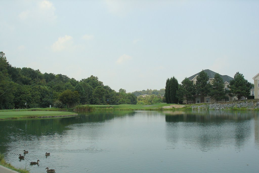 Barton Creek Dr.