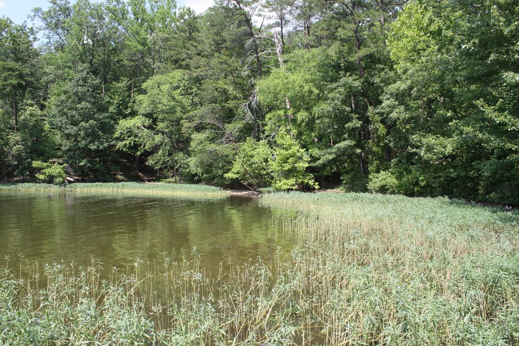 Badin Lake