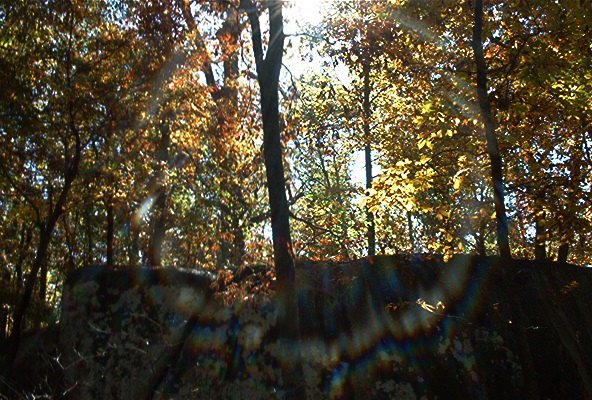 Indian Rock in Charlotte