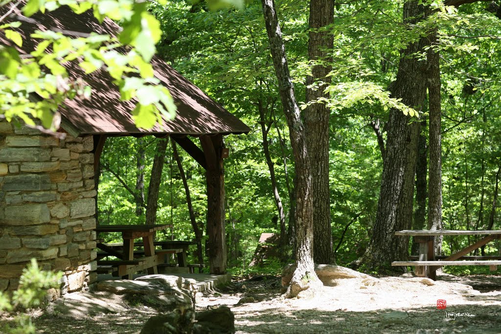 Walnut Cove
