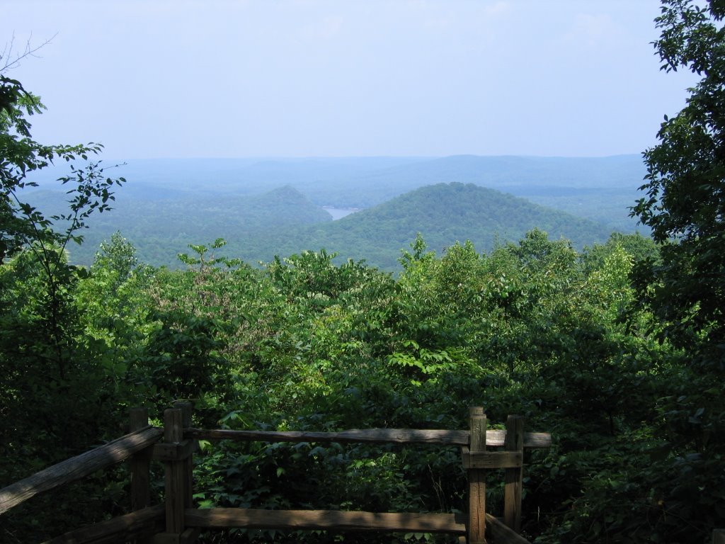 View From Morrow Mountain in Uwharries