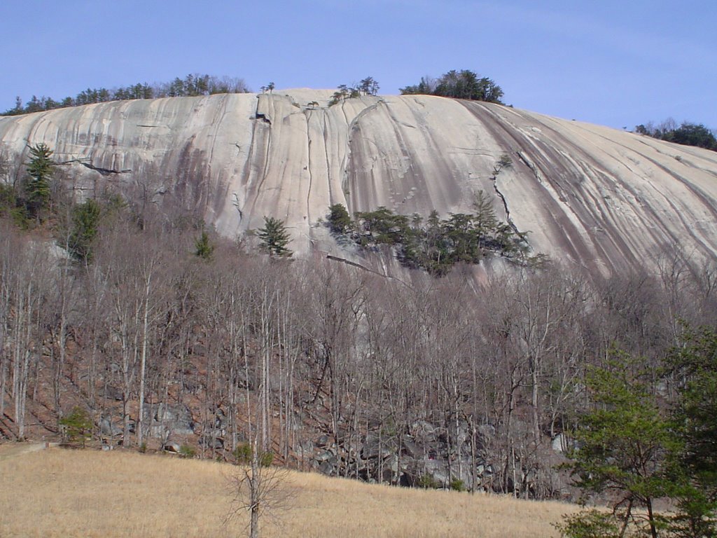 Stone Mountain