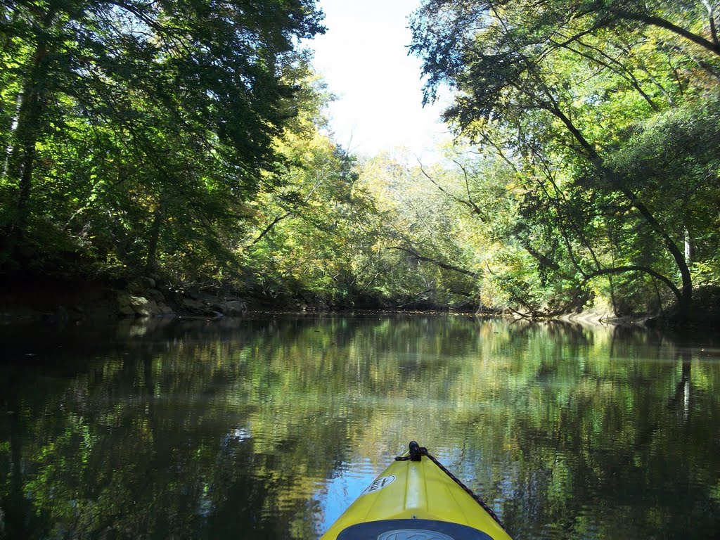 Dutchmans Creek