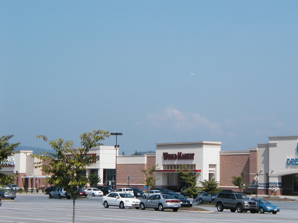 World Market McKenna Rd Arden, NC 07-27-2008