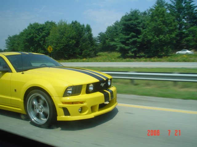 Stang