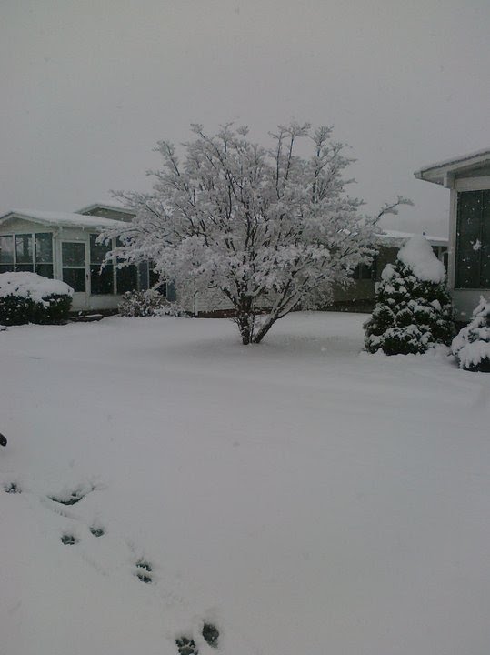 Christmas Snow in Mills River
