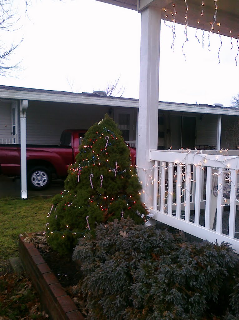 Decorating for Christmas