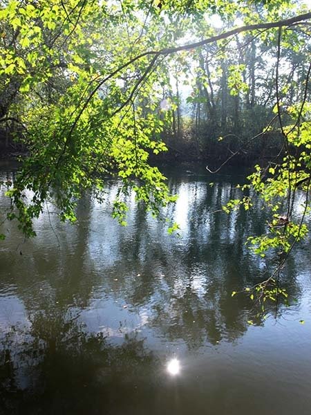 French Broad River near the Asheville Regional Airport