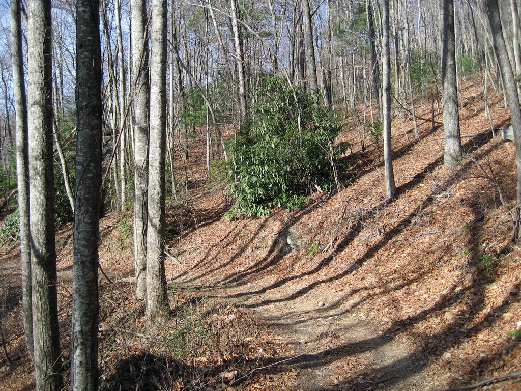 North Carolina Trail