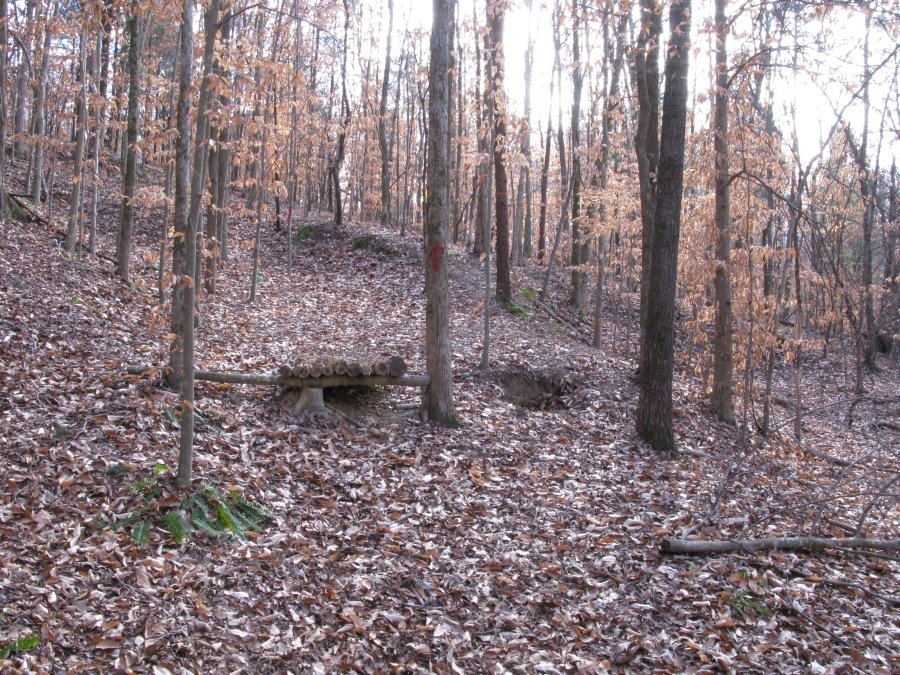 Jump on Trail