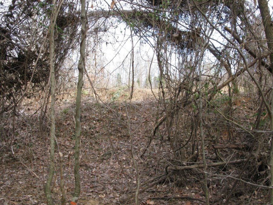 Dump Encroaches on Trail