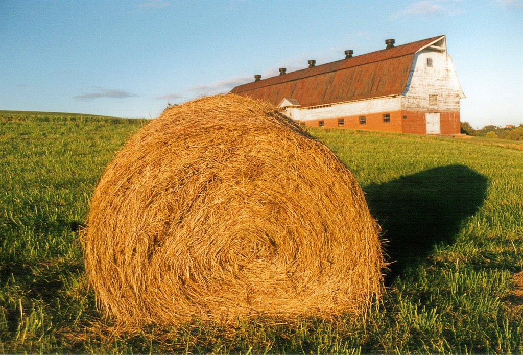 Deaf School Barn