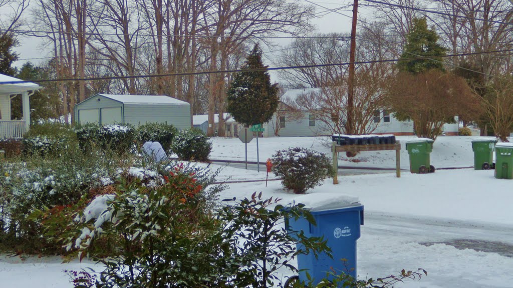 Winter in Belmont,NC