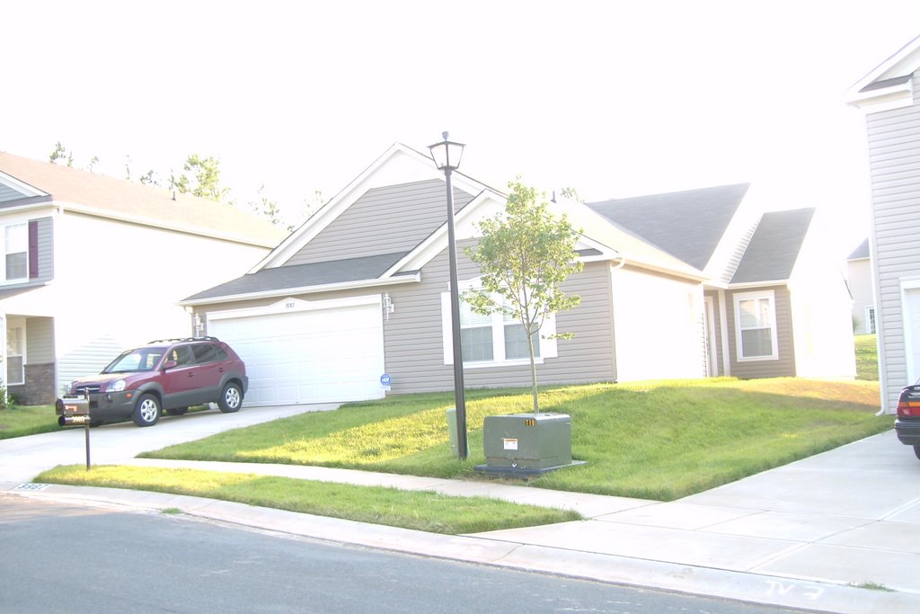 my house