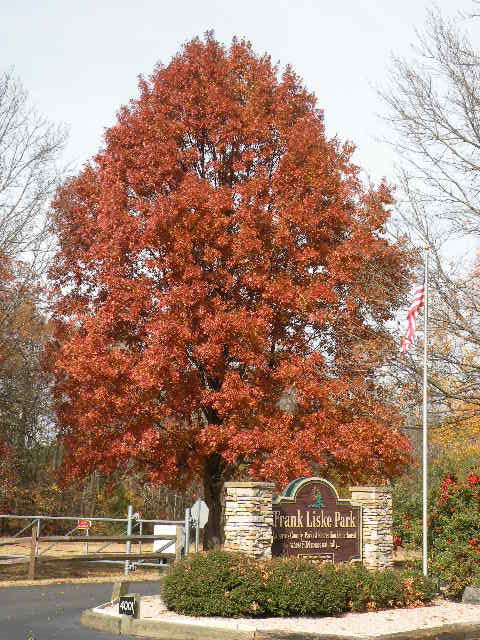 Frank Liske Park