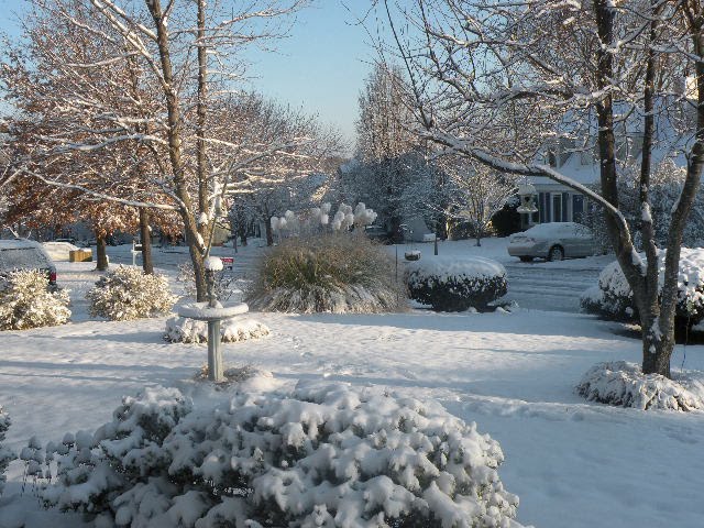 Sunny morning on a winter day