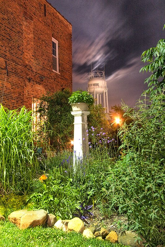 Backyard in the evening.