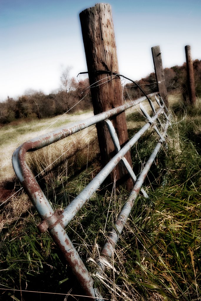 Fence on Masonic land
