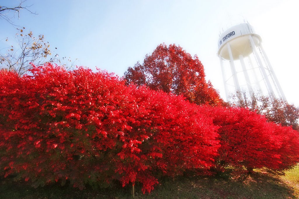 Water Tower 2