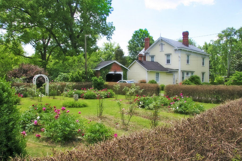 Home 6