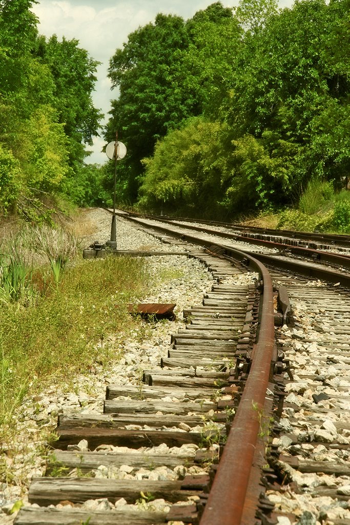 Tracks