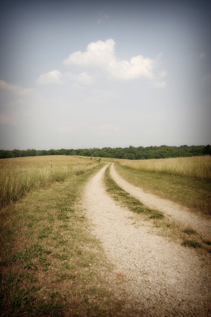 Trail - a running trail behind the Masonic Home for Children
