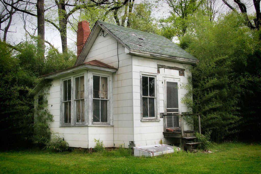 Doll House