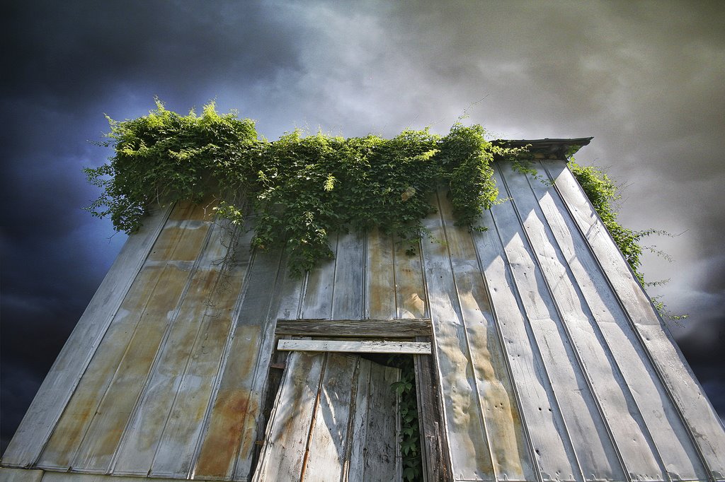 Shed