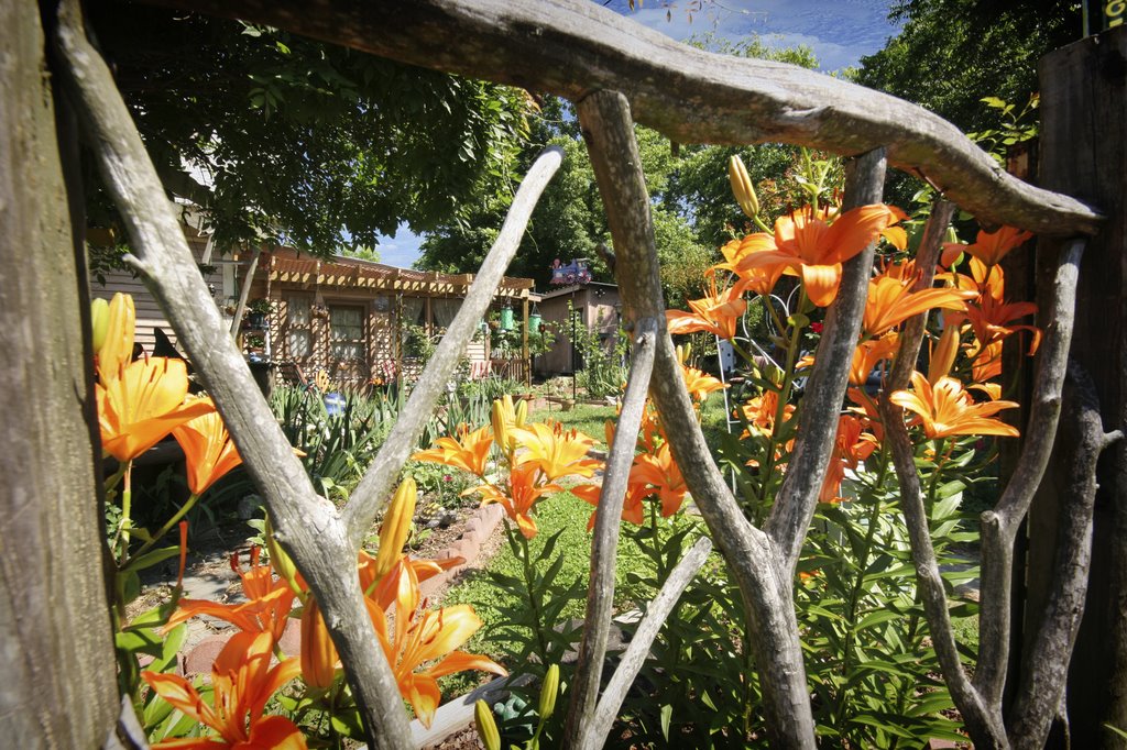 Broad Street Garden