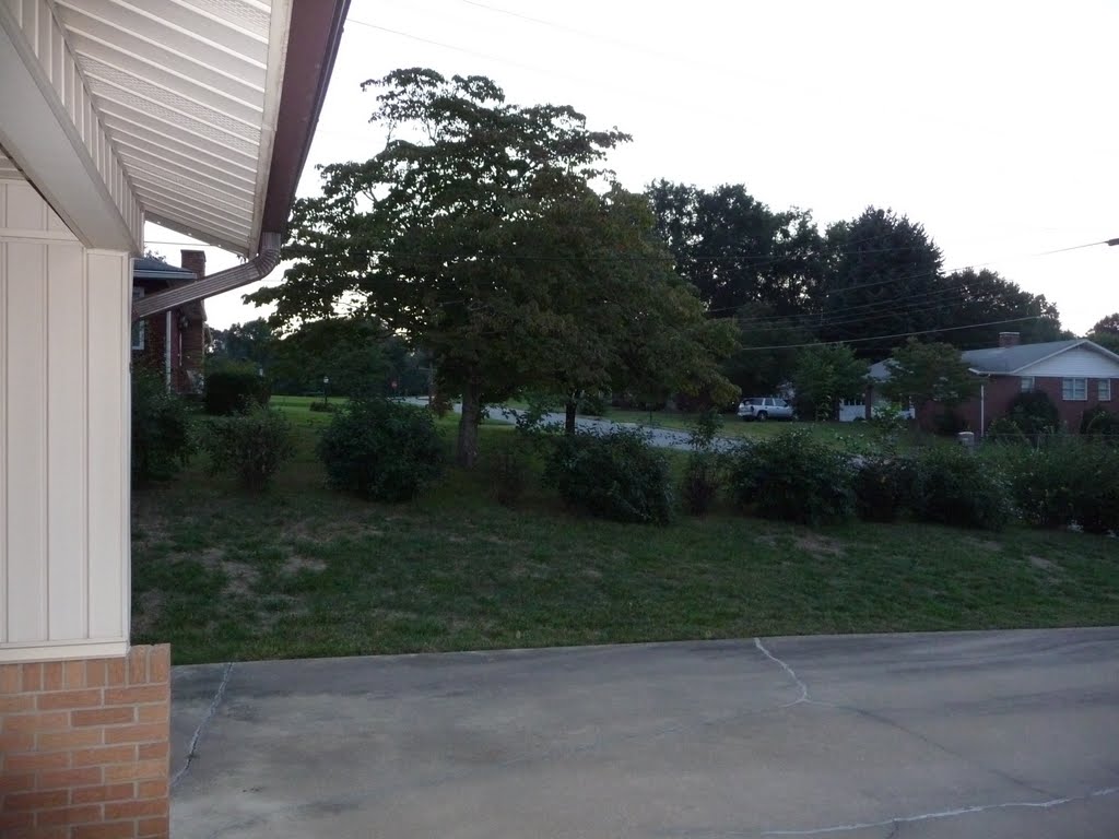 Fall in Longview