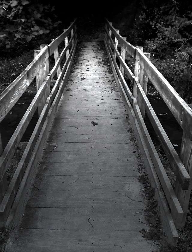Walk Into The Unknown