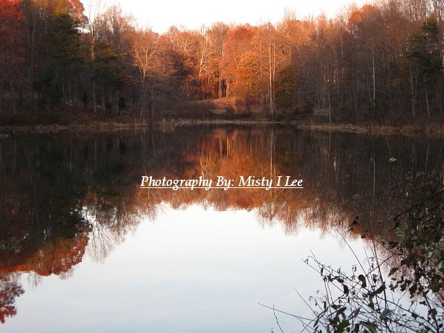 Summerfield,NC