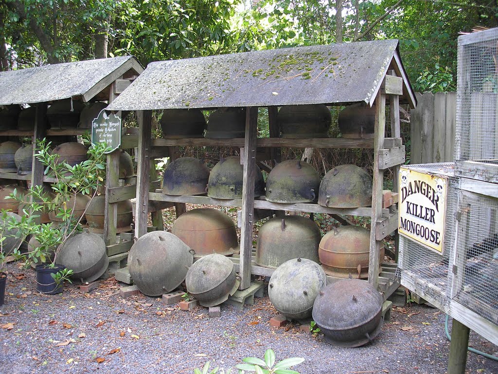 Largest private collection of wash pots: Gulleys Nursery