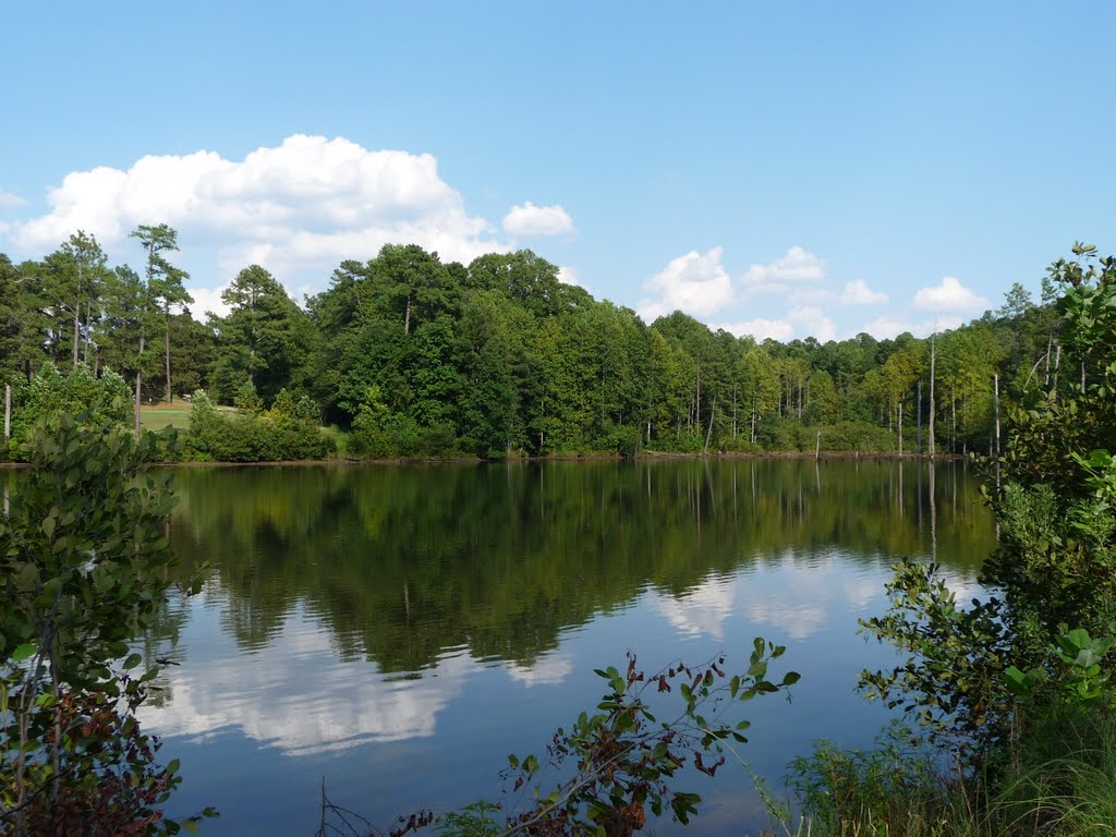 Southern Pines Golf Club - 11th Green (left in the background)