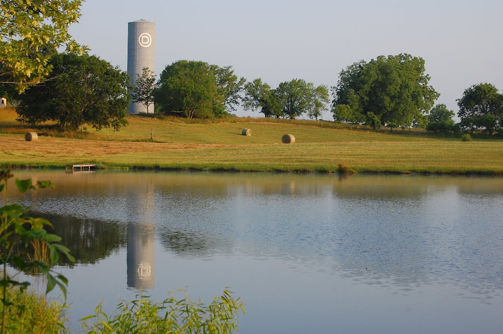 Dairy Farm