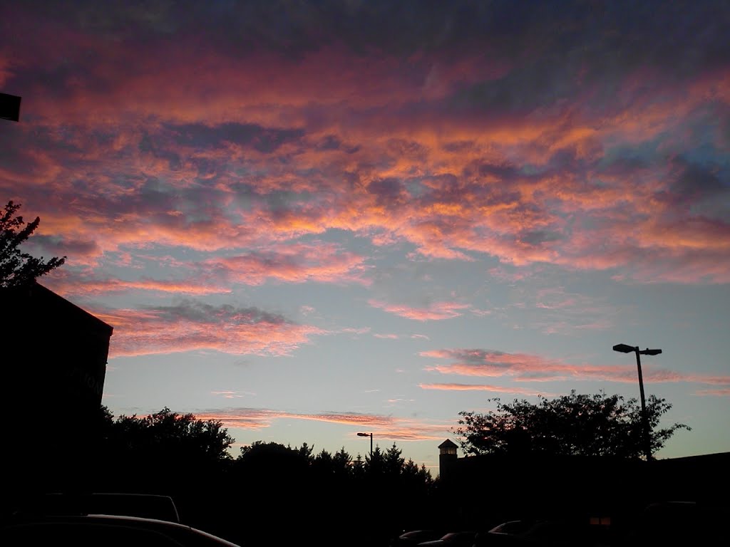 Cielo Rosado