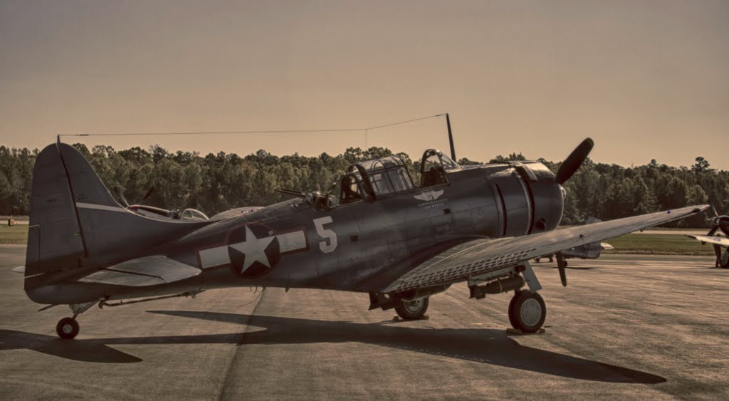 P51 Mustang
