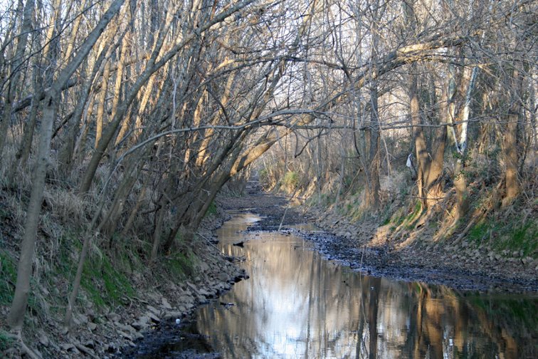 Creek