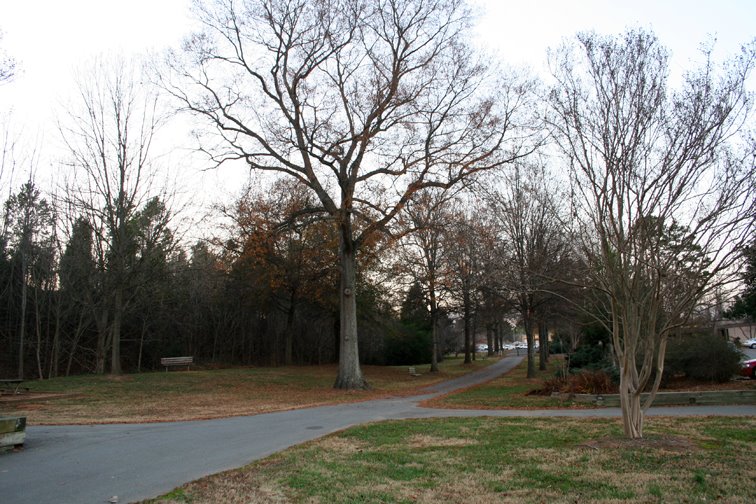 Park
