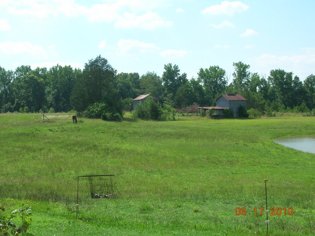 storage barns in the distance