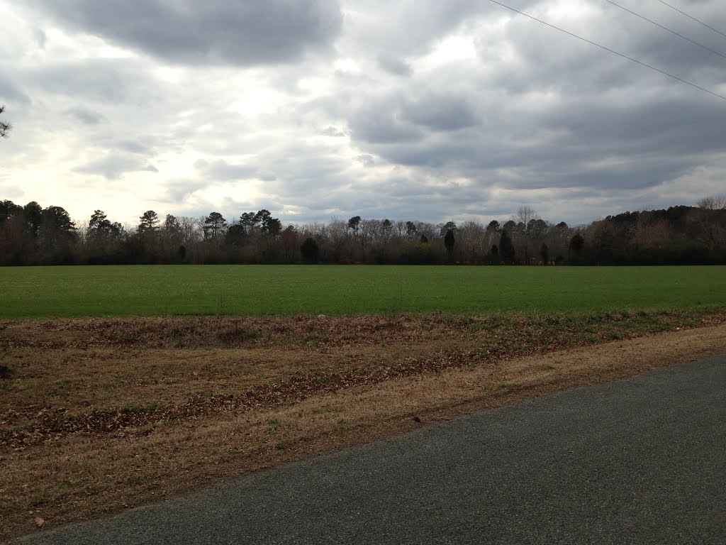 Field Along Deep River