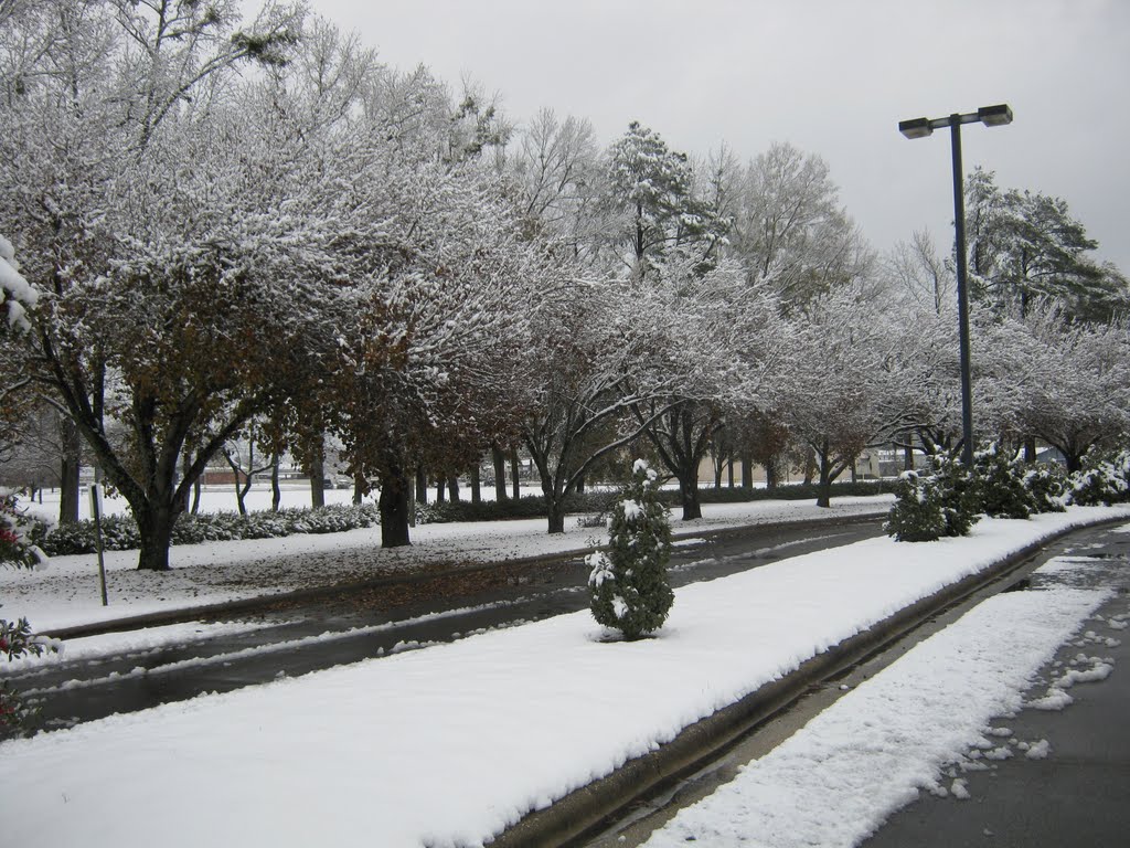 December 2010 Snow